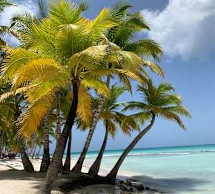 Isla Saona