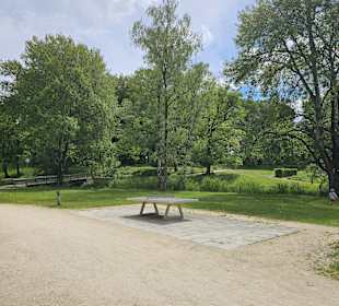 Tischtennisplatten