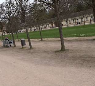 Orangerie Schloss Favorite