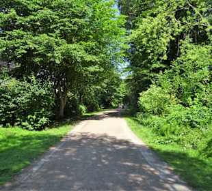 Rundgang um den Eppendorfer Mühlenteich