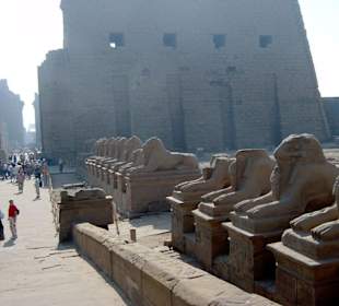 Eingang zu den Karnak-Tempeln