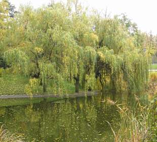 Türkenschanzpark