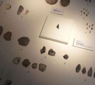 Theodor Zink Museum