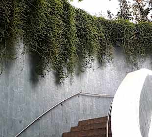 Tree Tunnel Fort Canning Park