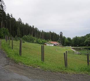 Badesee Kobersdorf