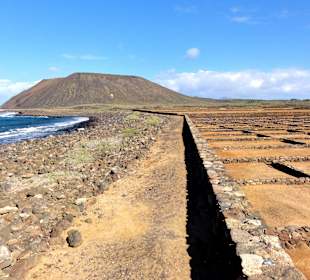 Saline auf Lobos
