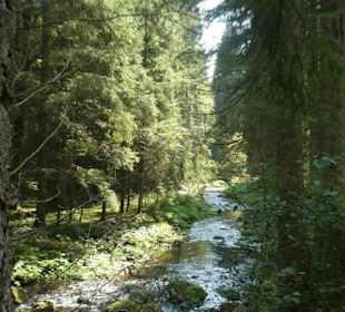 Wunderbare Wanderung am Großen Regen