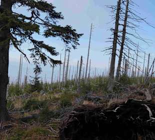 Riesengebirge/Karkonosze