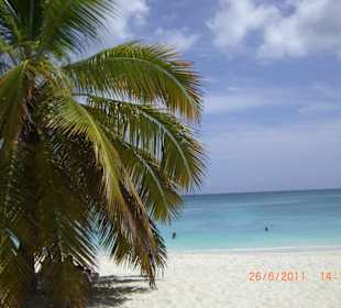 Ausflug auf Saona Island