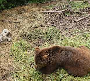 Auch das gibt es, keine Angst, sind hinter Gittern