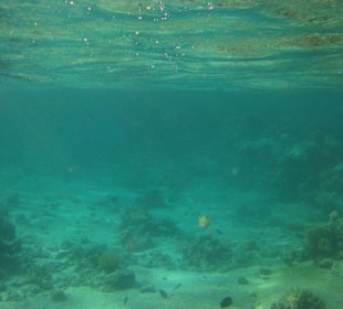 Wunderbar schnorcheln