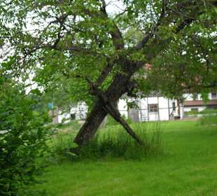 Ländereien Ortenburg