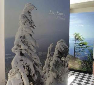 Ausstellung König "Großer Arber"