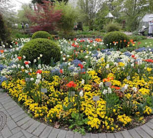 Insel Mainau im Mai