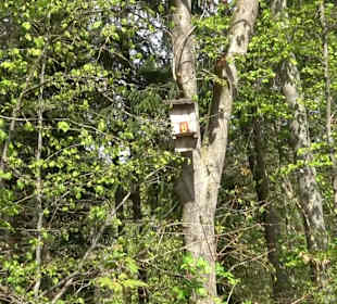 Naturerlebnisweg des NABU-Metzingen