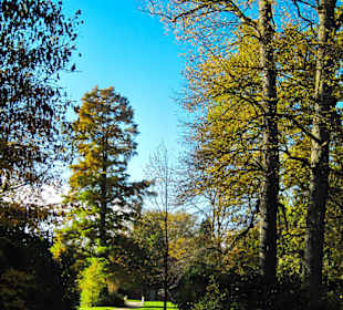 Парк Замка Ойтин.Золотая осень.