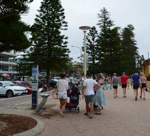 Manly Beach