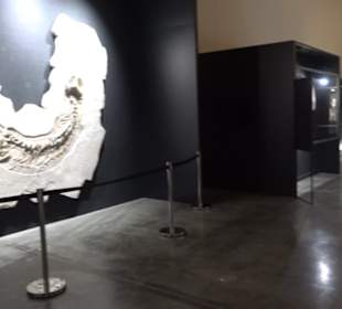 Dinosaurier Museum Altmühltal