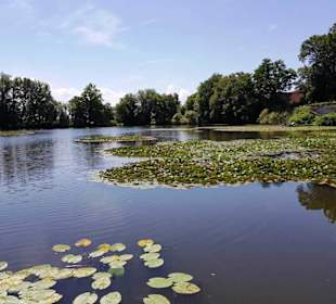 Ausblick über den See