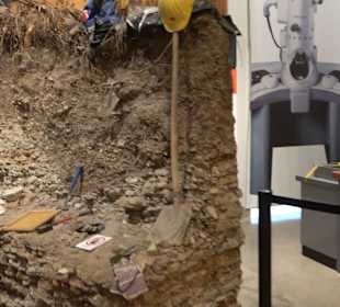 Staatliches Naturkunde Museum