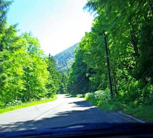 Plöckenpass 2010 die ganze Strecke