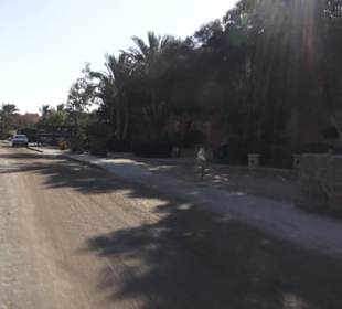 Stadtbesichtigung El Gouna
