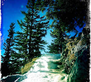 Wanderweg zum Jenner