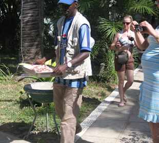 Geier, das Futter wird gebracht