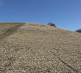 Naturschutzgebiet Meisenbühl