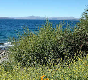 Blick auf den Nahuel Huapi See
