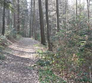 Wanderung Florianrunde