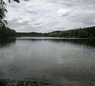Birkensee im August