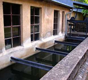 Nebenwasser