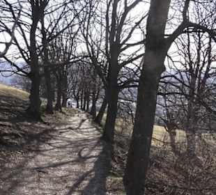Wanderweg zur Achalm