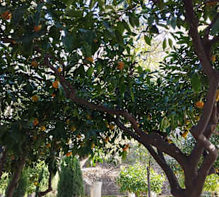 Stadtrundfahrt Palma