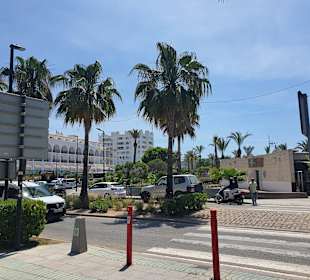 Yachthafen San Antonio/San Antoni de Portmany