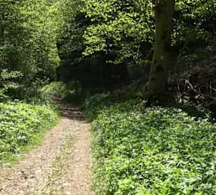 Premiumwanderweg Hochgehschätzt