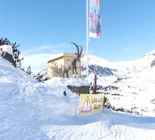 Das Skigebiet 