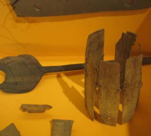 Rheinisches Landesmuseum