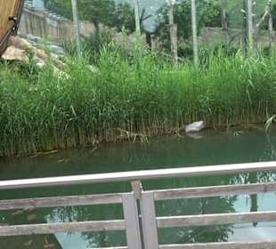 Tierpark Hellabrunn - Fische