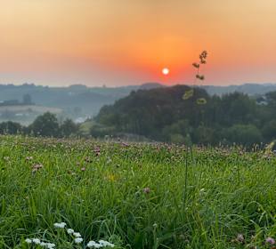 Wandern Loipersdorf bei Fürstenfeld