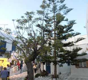 Grüner Winkel von Mykonos