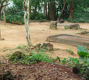 Singapur Zoo