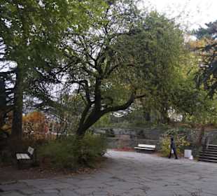 Parkanlage Planten un Blomen