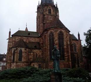 Altstadt Wissembourg in Wissembourg