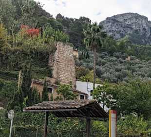 Reise durch Valldemossa 