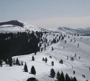 Blick in die Back Bowls