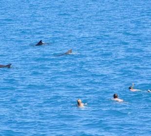 Baba Boot`s Delphine in freier Natur
