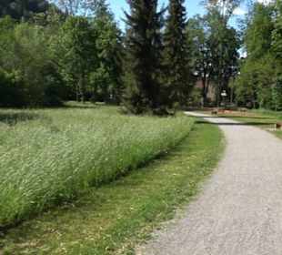 Kurpark Bad Niedernau