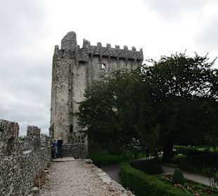  Blarney Castle